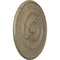 Ekena Millwork Traditional Reece Medallion (Canopies up to 5 7/8"), 24 3/8"OD x 1 1/8"P, Gobi Desert Crackle CM24REGDC - alternate 5